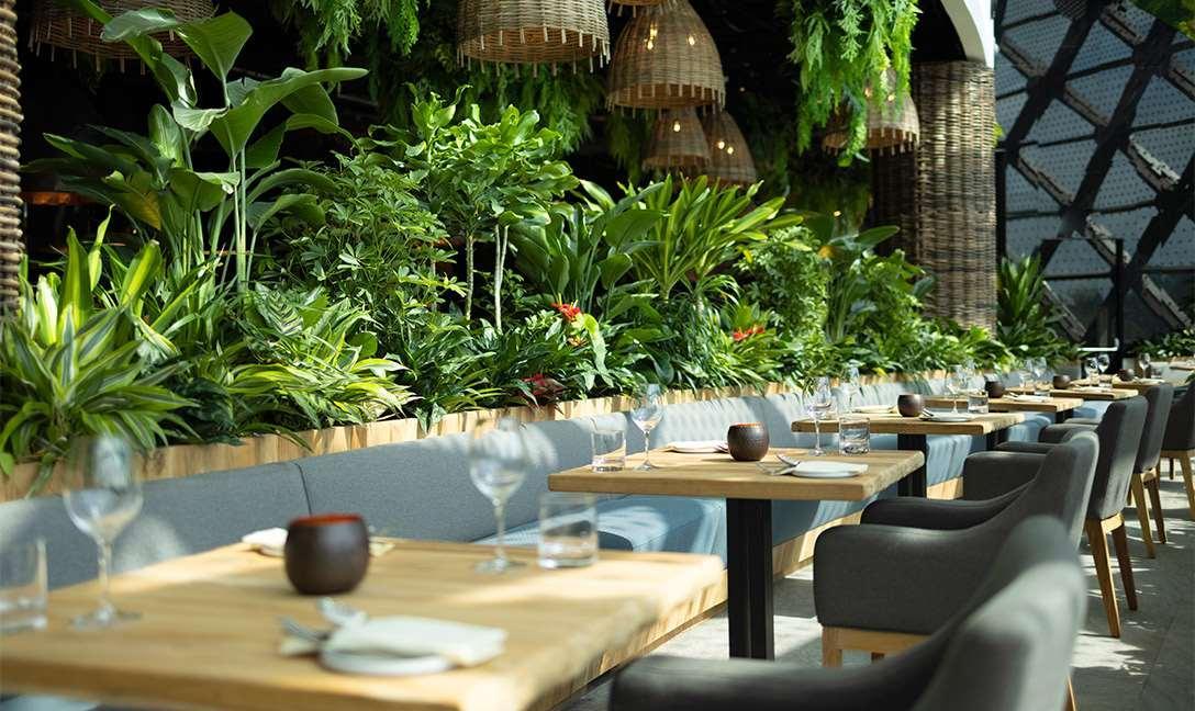 Dusit Thani Laguna Сингапур Екстериор снимка Restaurant interior